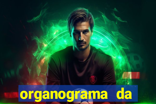 organograma da cacau show